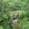 03-hauling stone down to river